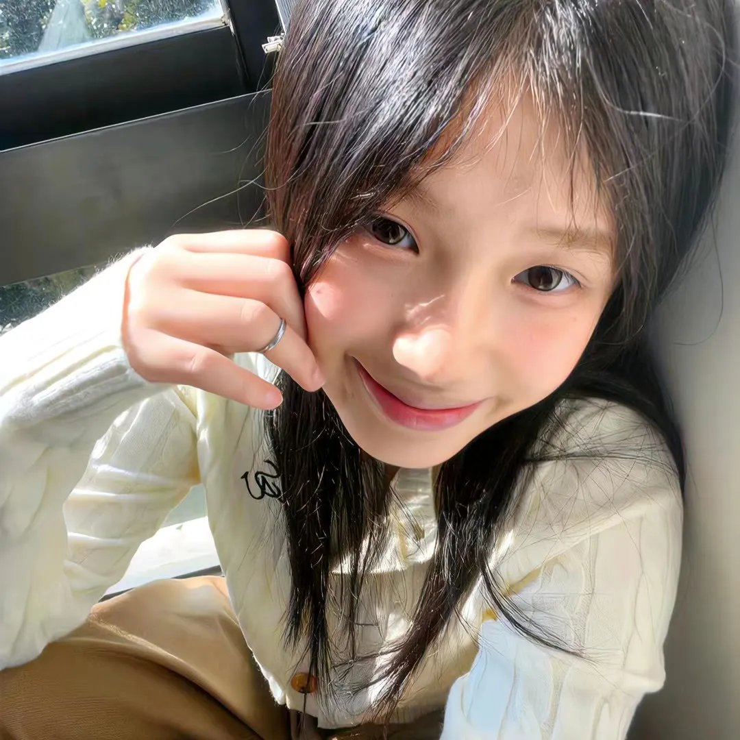 壁花少年 在线观看