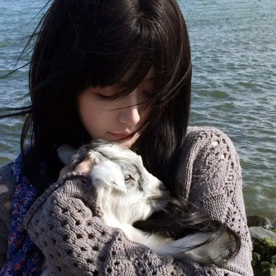 犀利人夫 在线观看